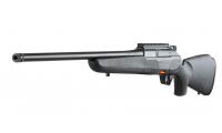 BRX1_LHa_2.jpg