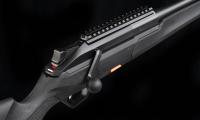 BRX1_RHa_2_black.jpg