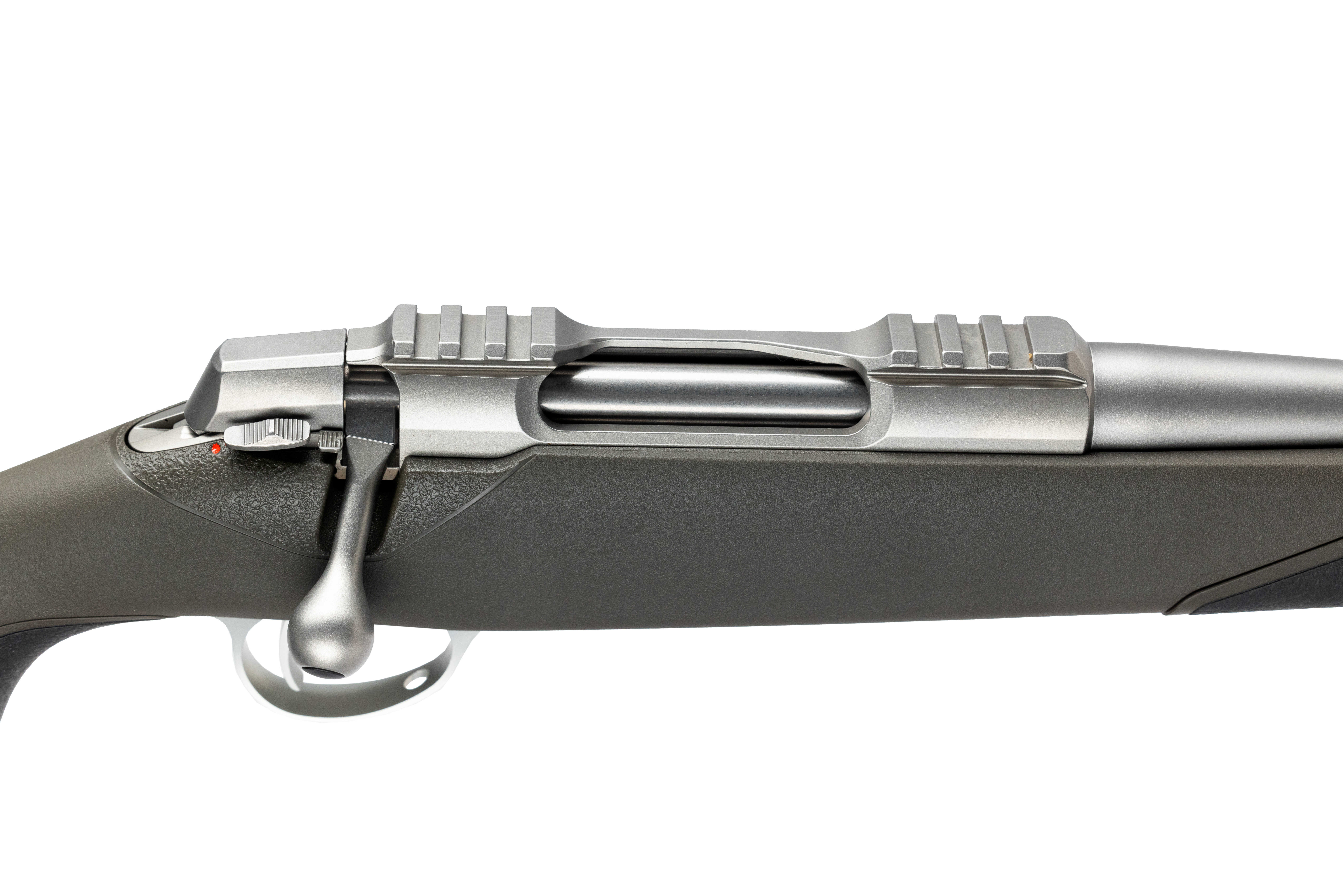M1A2981.jpg