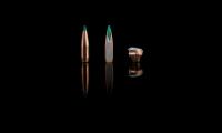SAKO_GAMEHEAD_PRO_107A_780ms.jpg