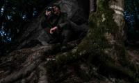 Nighthunter_00001.jpg