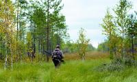 Field_5.jpg