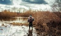 Wetland_1.jpg