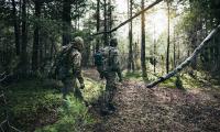 Woodland_10.jpg