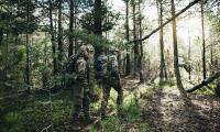Woodland_11.jpg