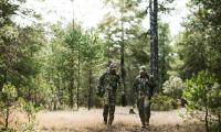 Woodland_13.jpg