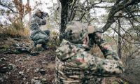 Woodland_14.jpg