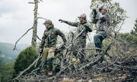 Woodland_16.jpg
