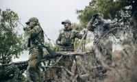 Woodland_17.jpg