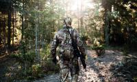 Woodland_8.jpg