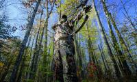 Woodland_9.jpg